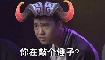无可撼动