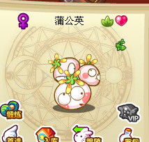 蒲公英 